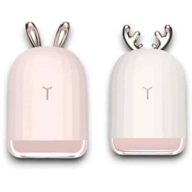 Resim ZERO LAND SPTRNS (00743) TAVŞAN NEMLENDİRİCİ 