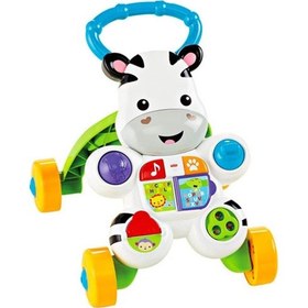 Resim Fisher Price Melodili Zebra Yürüteç Dld80 - Diğer 