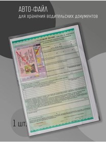 Resim Elegant Land Dosya - Araç Belgeleri İçin Evrak Dosyası 451845933 