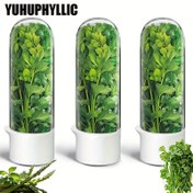 Resim YUHUPHYLLIC büyük soğutmalı otlar taze tutma kutusu, kereviz, nane, yeşil sebzeler için 2-3 hafta saklama kutusu, buzdolabı depolama kutusu 