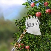 Resim 1 adet Teleskopik Çubuklu Genişletilebilir Paslanmaz Çelik Meyve Toplama Aleti, Elma, Hurma, Mango, Muşmula İçin Yüksek Ulaşımlı Bahçe Hasat Aleti, Darbe Emici Sepeti ile Meyve Toplama Aleti, 74 İnç Genişletilebilir Kol 