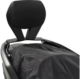 Resim GP Kompozit Honda Forza 250 2018-2020 Uyumlu Sissy Bar Siyah 