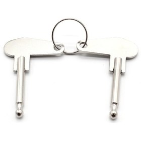 Resim Yuntech01 Tractor, Vinç, Kamyon Ve Ekskavatör İçin 2 Adet Metal Ateşleme Anahtarı - Gümüş Renk, 60 Mm Uzunluk 