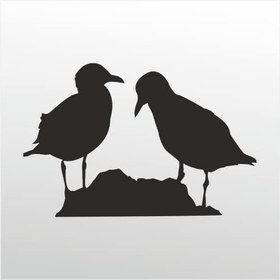 Resim Folyo Sticker Kuşlar 60cm Uzunluk 