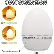 Resim Boatshop1 Özelleştirilebilir Dinozor Yumurtası Isıtmalı Işık Kişiselleştirilmiş Dino Yumurta Gece Lambası Usb Şarj Edilebilir Yumuşak Işıklı Bebek Odası 16renk Şarj Edilebilir 