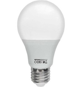 Resim HOROZ ELECTRIC PREMIER-9 9 WATT E27 8400K BEYAZ LED AMPUL 