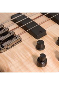 Resim Ibanez Sr1005efmntf Sr Serisi Bas Gitar 5 Telli - Çantalı 