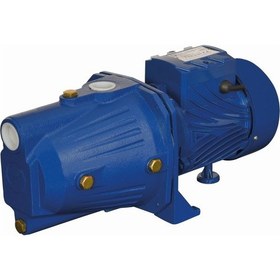 Resim Catpower 684 - Döküm Gövde Jet Pompa 1.5 Hp. 