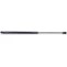Resim After Audi A3 Sportback 2004-2008 Arka Bagaj Kapağı Amortisörü Pistonu 8P4827552B 