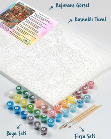 Resim Tabdiko Sayılarla Boyama Seti 40 x 50 cm Tuval Şasesine Gerili Baykuşlar 