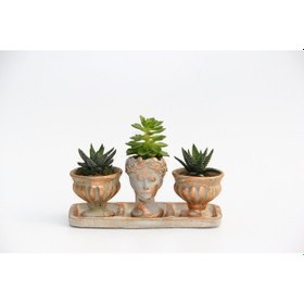 Resim Trio Helen Orange Sukulent Seti - Haworthia Pumila. Echeveria 