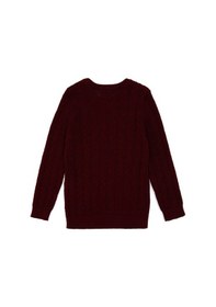 Resim U.s. Polo Assn. Erkek Çocuk Bordo Kazak /triko 50315638-vr014 Bordo 