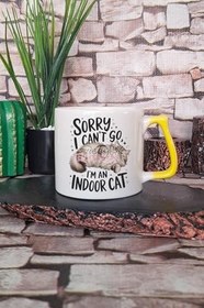 Resim Kedi Komik Esprili Kedisever Kedi Sahibi Eğlenceli Hediyelik Kulplu Kupa Bardak, QBLK5746-SR 