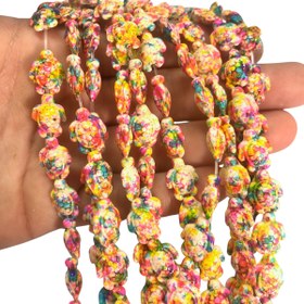 Resim Turkuaz Havlit Kaplumbağ- Mix 