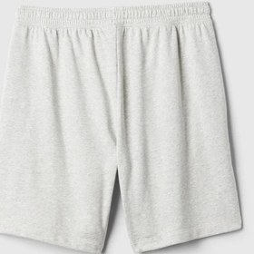 Resim GAP 868464002 V-Frch Ft Heritage Logo Erkek Şort 
