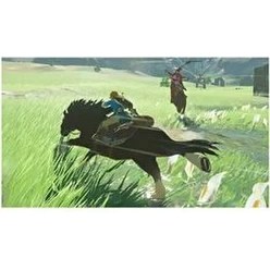 Resim Nintendo Switch Zelda Macera Oyunu Genel Yaş İçin Tek Oyuncu Desteği ile Eğlenceli 