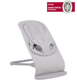 Resim Will Bouncer Side Ana Kucağı - Grey 