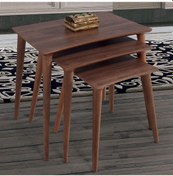 Resim 3'Lü Ceviz Dikdörtgen Ahşap Zigon Sehpa E1 