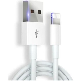Resim Şarj Aleti Kablosu 1M Lightning USB 