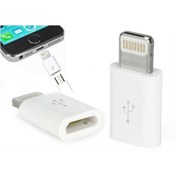 Resim Engpars Ipad Ipad Mini 4 Air Aır 2 Usb To Micro Otg Ipad Iphone / Micro Usb Dönüştürücü Çevirici 