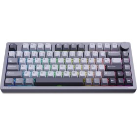 Resim Philips EVNIA SPK8618 Mekanik RGB 81 Tuş USB/Bluetooth/2.4G Kablosuz Oyuncu Klavyesi Gri 
