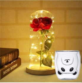 Resim Cam Fanus İçerisinde Dekoratif Led Işıklı Solmayan Gül Lamba ve Çidarlı Bardak Seti 