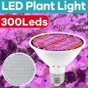 Resim E27 / E26 300 Led Tam Spektrumlu Bitki Ampulü AC85-265V Tohum Bitirme Doldurma Işıkları Blubs 220V Güneş Işığı Serası Çadır Sukulent Hidroponik Kutusu Sebzeler Yetiştirme Lambası 110V Kapalı Çiçek Meyve Lichen Kaktüs Dikim Bonsai Aydınlatma 