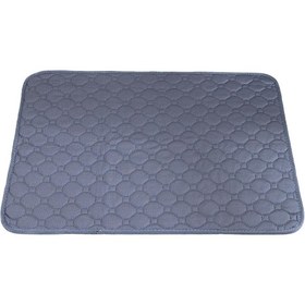 Resim Homyl Yıkanabilir Köpek Çiş Pedi Hızlı Kuru Bez Çocuk M 