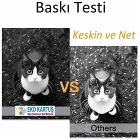 Resim Epson Ecotank 106 Pigment Mürekkep Uyumlu 