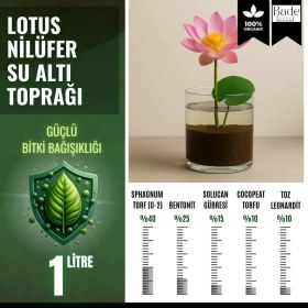 Resim Bade Shop 1 Adet Lotus Tohumu - Lotus Çiçeği (Nilüfer) Su Altı Torf Karışımı Toprağı (1 Lt Toprak) Hediyeli 
