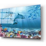 Resim Marsilyan- Su Alti Canlilari 