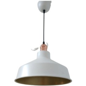 Resim Retro Metal Dekoratif Beyaz Içi Gold Bakır Duylu Tekli Sarkıt Avi (537176339) 