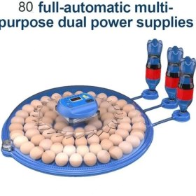 Resim Aesco 80 Tavuk 240 Kuş Yumurta Kapasiteli Çift Viyollü Kuluçka Makinesi - Kaz, Ördek, Tavuk, Bıldırcın Için ( Lisinya ) 