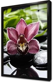Resim Spa Taşları ve Orkide Çerçeveli Cam Tablo 20x30 cm CA23191 