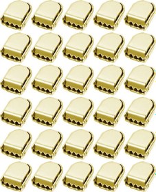 Resim Gold Altın Renk Metal Ayakkabı Bağcık Ucu Klipsi 30 Adet 