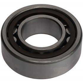 Resim AGCO Rulman - Massey Ferguson / Fendt / Valtra | ACP0504290 