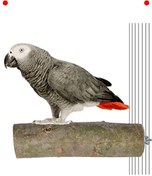 Resim NETWORK ART Doğal Ağaç Papağan Tüneği 17 cm 