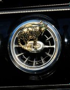 Resim TASARIM ARABAM ATİKE ELİF AKIN Gold Çita ERKEK Klima Kokusu 