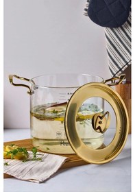 Resim Logan Gold Kapaklı 5,5 L Cam Tencere 20x20 Cm Şeffaf 