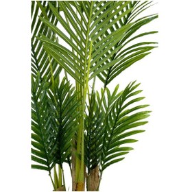 Resim Areka Palmiyesi 160cm Krem Gold Metal Darbuka Saksıda H 