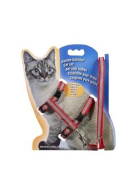 Resim Reflektörlü Kedi Gezdirme Tasması Çok Renkli 