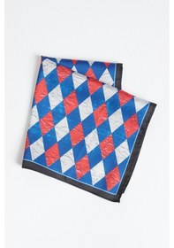 Resim Ac&Co / Altınyıldız Classics Erkek Lacivert - Bordo Desenli Mendil Lacivert - Bordo 