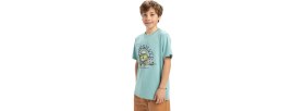 Resim Quiksilver Ev Skull Feast Yth Erkek Çocuk Tişört 