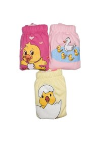 Resim Ördek Serisi 3 Adet Kız Bebek Alıştırma Külodu 2 Numara 15 - 20 Kg 3 Adet 