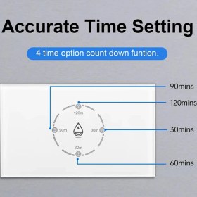 Resim Tuya Akıllı Yaşam Wifi Kazan Anahtarı 20A Enerji Izleme 4400W Akıllı Su Isıtıcı Anahtarı Abd Standart Alexa Home Için (Yurt Dışından) 