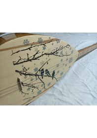 Resim Idol Kuş Dal İşlemeli Kısa Sap Saz Tam Set 