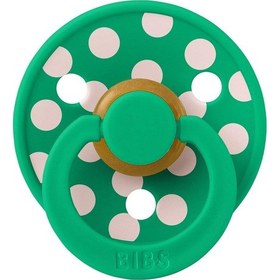 Resim Bibs Studio Polka Big Kauçuk Emzik - Cactus Petal 0-6 Ay 