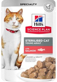 Resim Hill's Chunks & Gravy Somonlu Pouch Kısırlaştırılmış Yetişkin Kedi Maması 85 G 