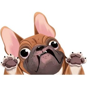 Resim 1 Adet Köpek Araba Sticker Komik Yüz Büyük Kulaklar Ve Gözler Pug Köpek Sticker Araba Arka Pencere Duvar Kapı Dizüstü Bilgisayar 8.7 6.3in Sarı 