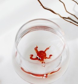 Resim Octopus Glass Water Cup 